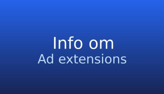 Informationskort om ad extensions med ekstra oplysninger i en Google Ads-annonce
