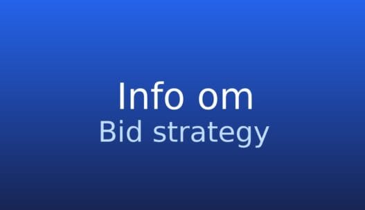 Gråt informationskort med termen budstrategi og kort forklaring af begrebet