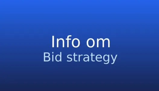 Gråt informationskort med termen budstrategi og kort forklaring af begrebet