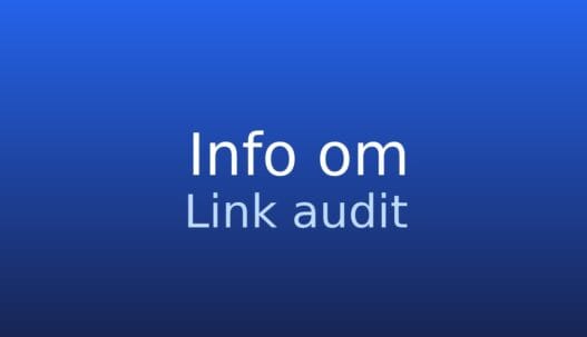 Informationskort om link audit med fokus på vurdering af linkprofilens kvalitet og risiko