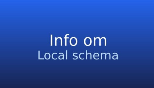 Gråt informationskort med termen local schema og kort forklaring om strukturerede lokale virksomhedsdata