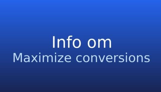 Informationskort om budstrategien ”Maximize conversions” i Google Ads