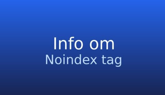 Noindex tag: søgemaskiner instrueres i ikke at indeksere en side