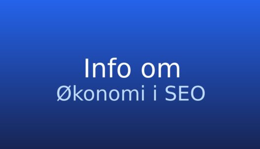 Informationskort om økonomi i SEO med fokus på budget, omkostninger og afkast
