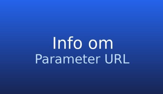 Gråt informationskort med teksten parameter URL og kort forklaring af webadresse med parametre
