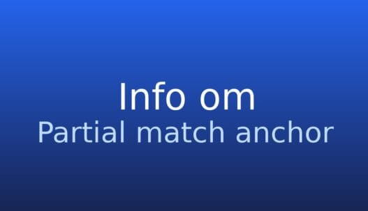 Informationskort om partial match anchor i SEO og ankertekst
