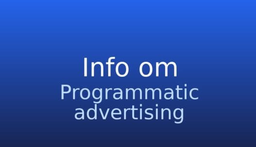 Informationskort med termen programmatic advertising på neutral grå baggrund