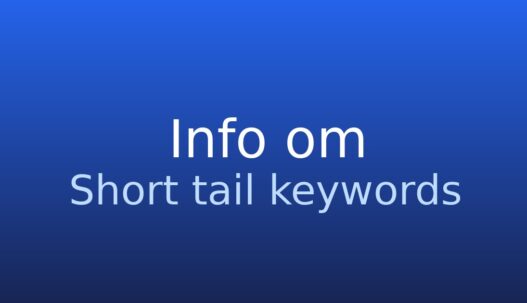 Informationskort med termen short tail keywords og kort definition