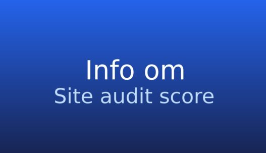 Informationskort med termen site audit score og kort forklaring af websitehelbred