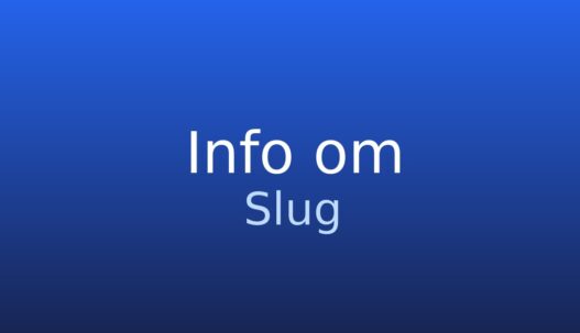 Informationskort med ordet slug og kort forklaring om webadresse og URL