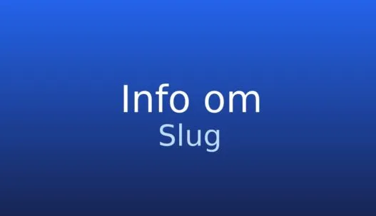 Informationskort med ordet slug og kort forklaring om webadresse og URL