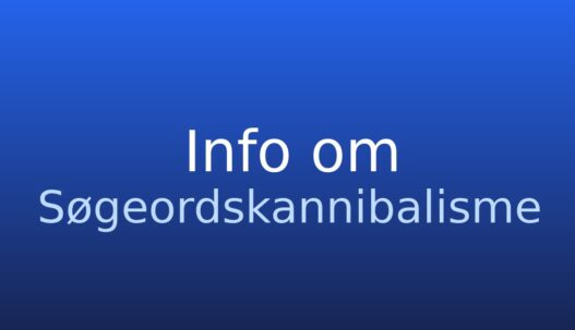Informationskort om søgeordskannibalisme og intern konkurrence om samme søgeord