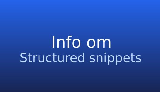 Informationskort med begrebet Structured snippets og kort definition
