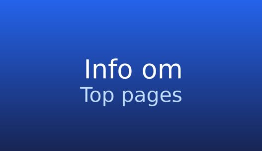 Informationskort med ordbogstermen top pages og kort forklaring af rapport i SEO-værktøjer